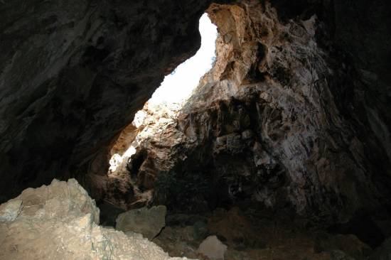 Galer&iacute;a Cavidad