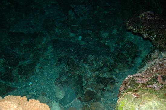 Galer&iacute;a Cavidad