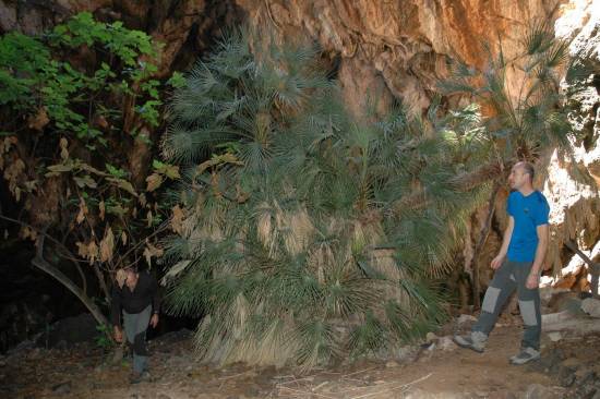 Galer&iacute;a Cavidad