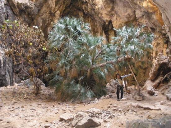 Galer&iacute;a Cavidad