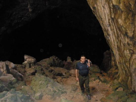 Galer&iacute;a Cavidad