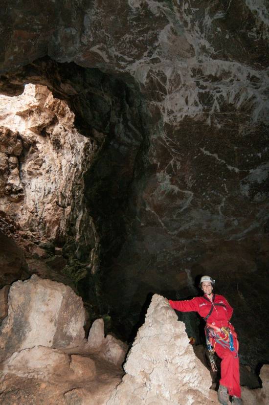 Galer&iacute;a Cavidad