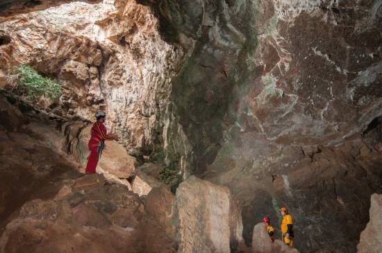 Galer&iacute;a Cavidad