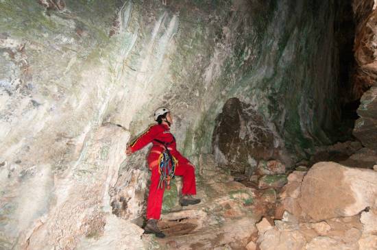 Galer&iacute;a Cavidad