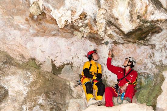 Galer&iacute;a Cavidad