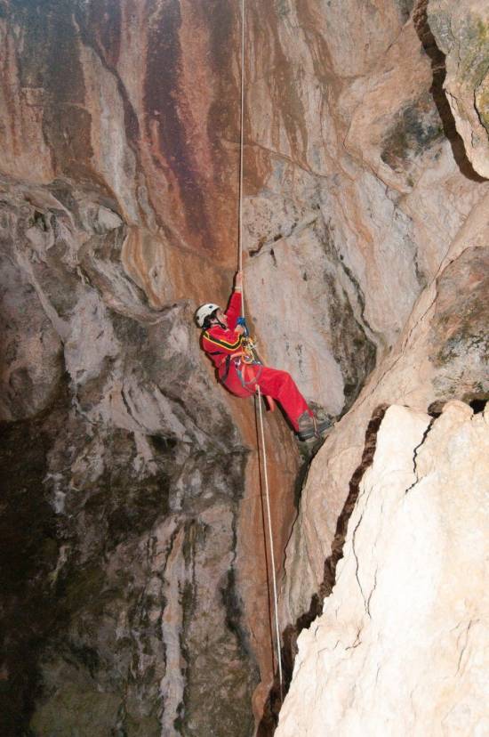 Galer&iacute;a Cavidad