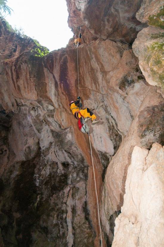 Galer&iacute;a Cavidad